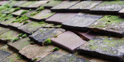 Bancycapel roof repair costs